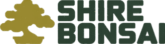 Shire Bonsai