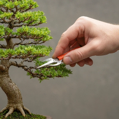 Close-up photo of a hand carefully pruning a bonsai tree, soft focus background, demonstrating proper technique, no text, no words, no typography, 8K